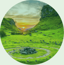 Green landscape